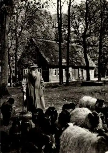 Ak Wilsede Bispingen in der Lüneburger Heide, Schnuckenschäfer, Schafherde, Reetdachhaus