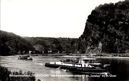 Ak Sankt Goarshausen am Rhein, Loreley, Motorboot, Trekvogel