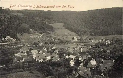 Ak Bad Liebenzell im Schwarzwald, Blick von der Burg, Gesamtansicht