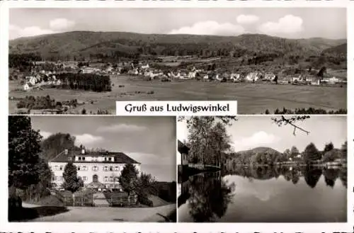 Ak Ludwigswinkel Dahner Felsenland, Gesamtansicht