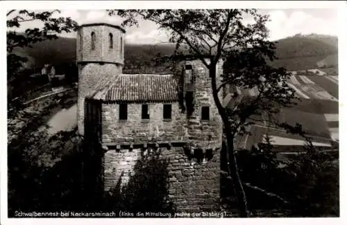 Ak Neckarsteinach in Hessen, Schwalbennest, Mittelburg, Dilsberg