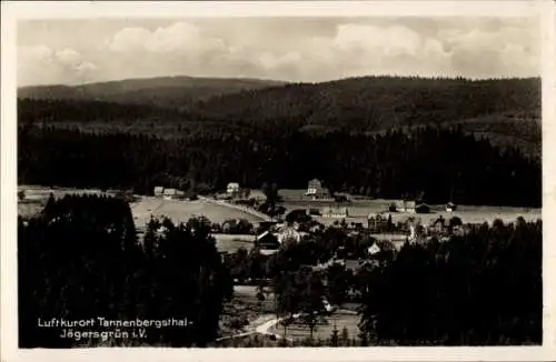 Ak Jägersgrün Tannenbergsthal Muldenhammer, Blick auf den Ort, Luftkurort