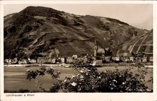 Ak Lorchhausen Lorch am Rhein Hessen, Gesamtansicht, Hotel Rheingold