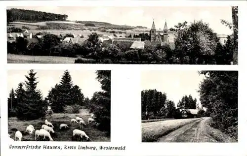 Ak Hausen Waldbrunn i. Westerwald, Waldweg, Kirche