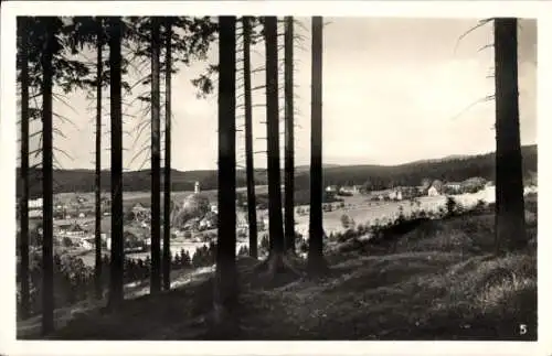 Ak Rautenkranz im Vogtland, Gesamtansicht, Ferienheim Muldenhaus