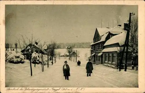 Ak Steinbach Johanngeorgenstadt im Erzgebirge, Gasthof Waldesruhe, Winteridyll