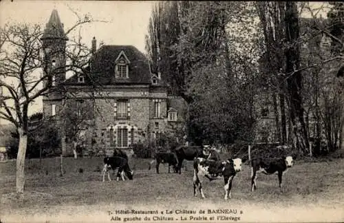 Ak Soignolles en Brie Seine et Marne, Schloss Barneau, Hotel Restaurant, Kühe