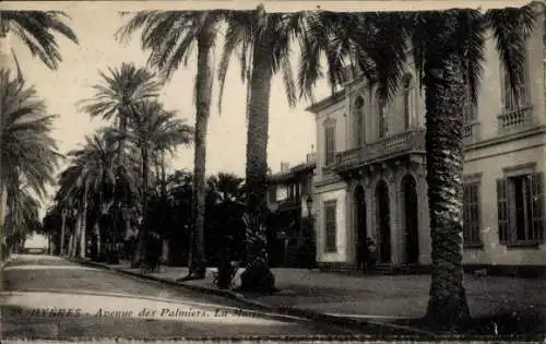 Ak Hyères Var, Avenue des Palmiers, La Mairie