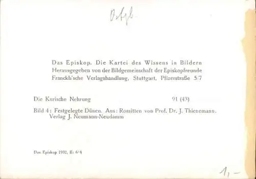 Ak Nida Nidden Kurische Nehrung Ostpreußen, Dünenblick