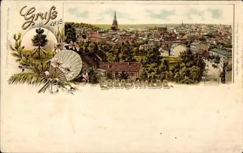 Litho Eberswalde in der Mark, Gesamtansicht