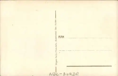 Ak Den Helder Nordholland Niederlande, Hafen und Ankunft der Heringswanderer