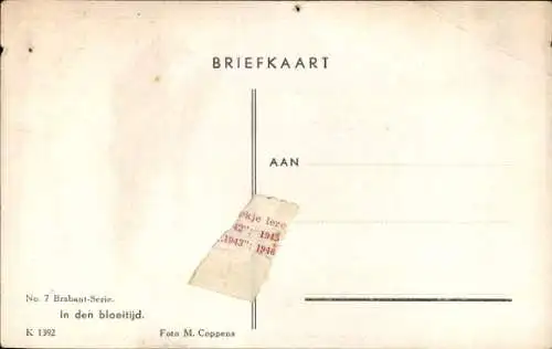 Ak Brabant, In der Blütezeit, Bauernhof