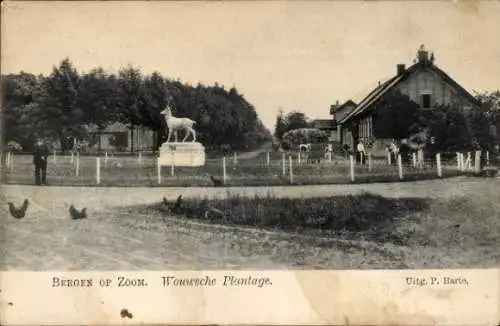 Ak Bergen op Zoom Nordbrabant Niederlande, Wouwsche Plantage