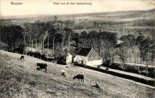 Ak Gulpen Limburg Niederlande, Kiek van af den Gulperberg, Kuhweide