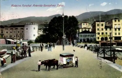 Ak Funchal Insel Madeira Portugal, Avenida Gonsalves Zarco, Cidade