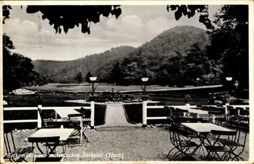 Ak Ballenstedt im Harz, Selkemühle im Selketal, Hotel Burg Anhalt, Pensionshaus Waldesruh, Terrasse