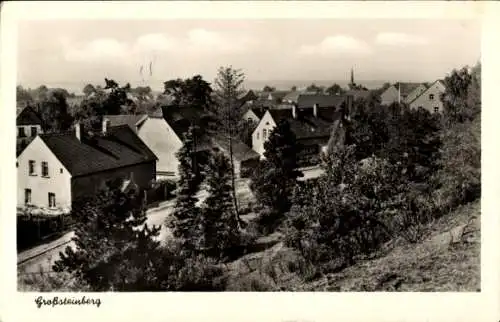 Ak Großsteinberg Parthenstein im Landkreis Leipzig, Blick über die Dächer der Stadt