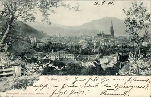 Ak Freiburg im Breisgau, Panorama