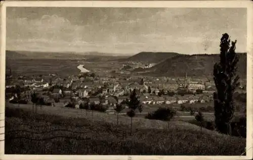 Ak Merzig an der Saar, Panorama