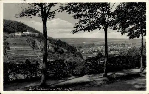 Ak Bad Dürkheim, Gesamtansicht der Stadt vom Wanderweg aus 