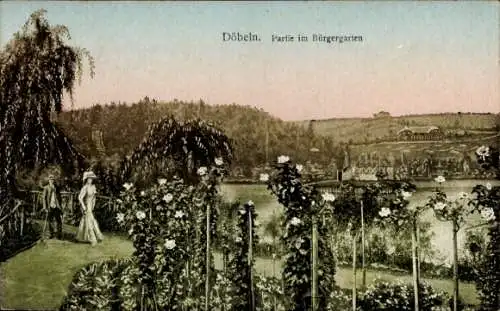 Ak Döbeln in Sachsen, Partie im Bürgergarten, Spaziergänger, Blumen, See