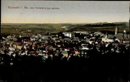 Ak Roßwein in Sachsen, Blick vom Hartenberg