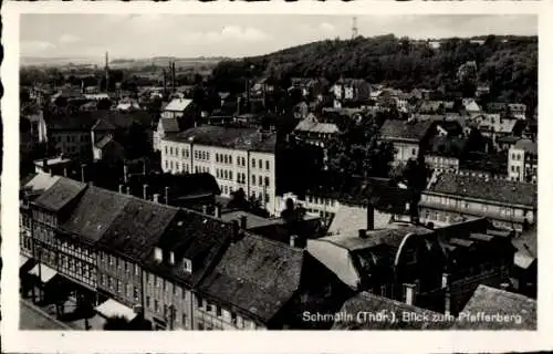 Ak Schmölln in Thüringen, Blick über die Dächer der Stadt zum Pfefferberg