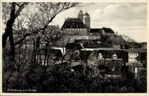 Ak Eilenburg Mulde, Blick auf den Ort mit Burg