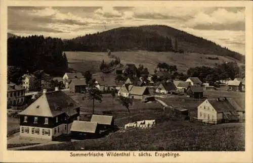 Ak Wildenthal Eibenstock im Erzgebirge, Blick auf den Ort und die Umgebung