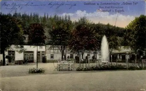 Ak Dittersdorf Amtsberg,Gasthaus Grünes Tal, Kürschner