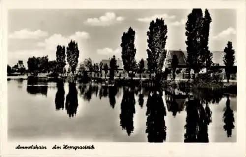 Ak Ammelshain Naunhof im Kreis Leipzig, Partie am Heergrasteich