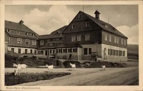 Ak Oberwiesenthal im Erzgebirge Sachsen, Neues Haus, Ziegen