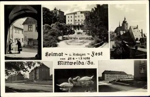 Ak Mittweida in Sachsen, Heimat- und Anlagen Fest 1958, Schwäne, Kirche, Gebäude, Park