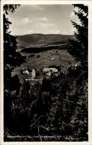 Ak Saig Lenzkirch im Schwarzwald, Panorama