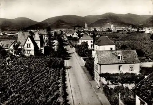 Ak Alsterweiler Maikammer in Rheinland Pfalz, Blick auf den Ort