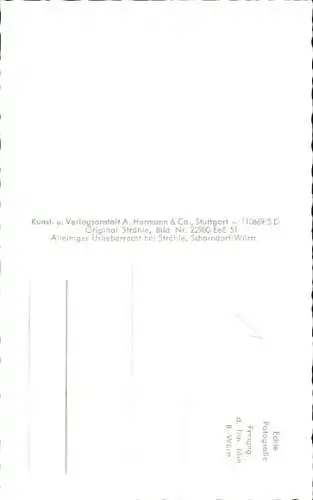 Ak Pfalzgrafenweiler im Schwarzwald Württemberg, Fliegeraufnahme