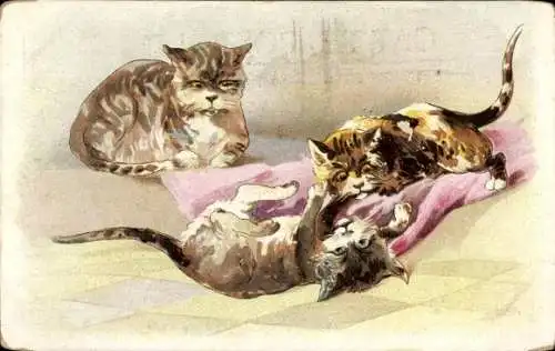 Litho Katzen beim Spiel