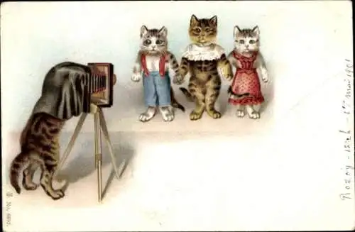 Litho Katzen in Kleidern vor der Kamera, Fotograph hinter der Linse, Leipzig