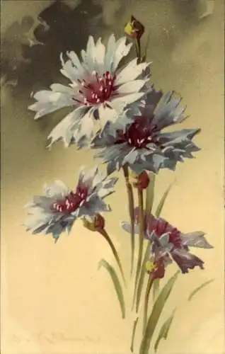 Künstler Litho Klein, Catharina, Blaue Blumenblüten, Meissner & Buch 1743