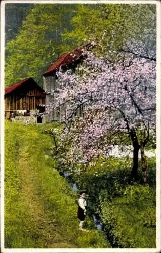 Ak Junge an einem Bach zur Baumblüte, Photochromie, Nenke und Ostermaier 422 5465