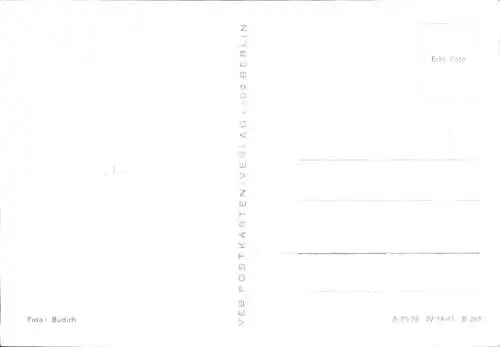 Ak Storch landet mit Nistmaterial im Nest