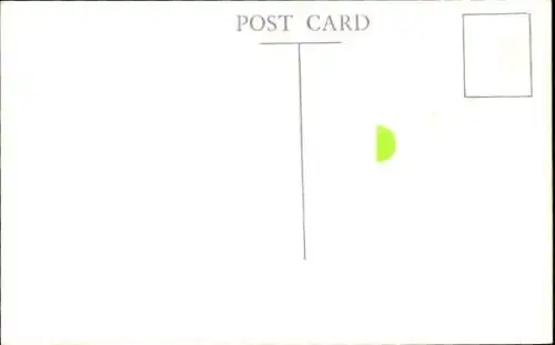 Ak Dampfer City of Port Elizabeth der Ellerman Lines