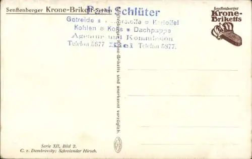 Künstler Ak Dombrovsky, C. v., Schreiender Hirsch, Senftenberger Krone Brikett