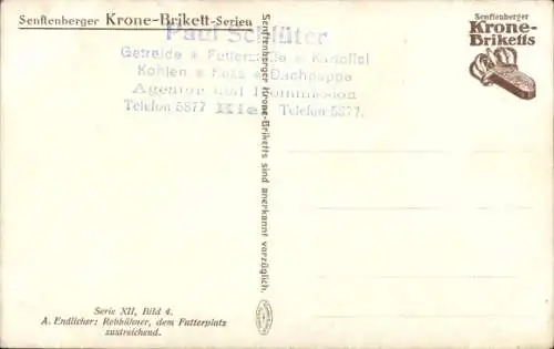 Künstler Ak Endlicher, A., Rebhühner, Werbung, Senftenberger Krone-Brikett