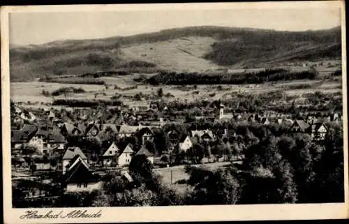 Ak Herzbad Altheide Schlesien, Panorama vom Ort