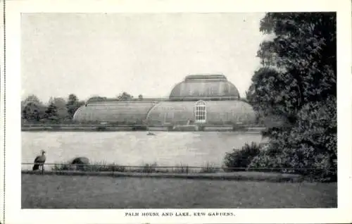 Ak Kew London Borough of Richmond upon Thames, Palmenhaus und See