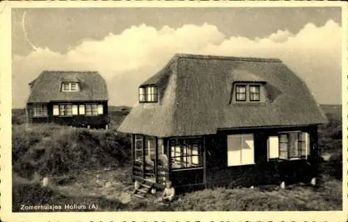 Ak Hollum Ameland Fryslân Niederlande, Sommerhäuser