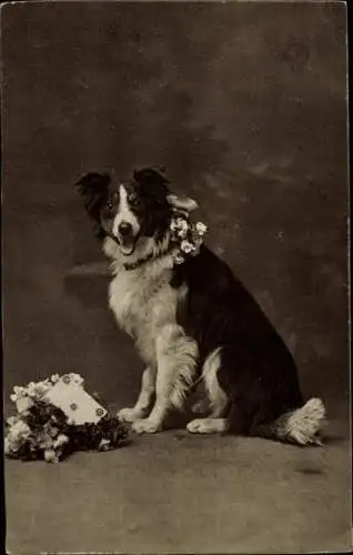 Ak Hund mit Blumenstrauß und Brief, Blumen am Halsband