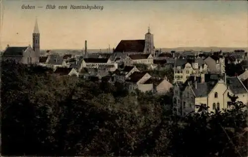 Ak Guben in der Niederlausitz, Blick vom Kaminskysberg