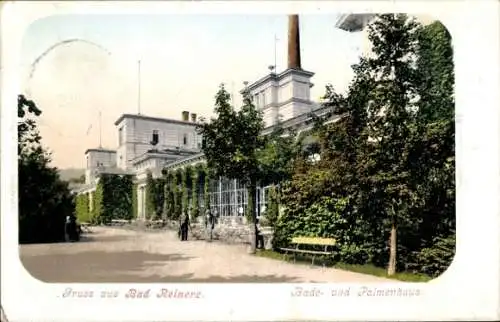 Ak Duszniki Zdrój Bad Reinerz Schlesien, Badehaus, Palmenhaus